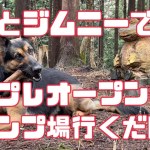 【愛犬とジムニーでキャンプ】開拓途中のおじろじろキャンプ場プレプレオープンで雨ん中愛犬とジムニーシエラで堕落キャンプ行くだけ