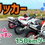 【トリッカー】久々の公道ツーリング！旨い魚を食べに行く^ ^【尻痛】
