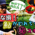 【鮎釣り】知らな損！誰でも簡単に鮎が釣れちゃう㊙スポット！