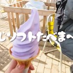ツーリング後のソフトクリームってなんでこんなに美味しいんだろう｜閑散期のあしかがフラワーパーク女子ツーでのひとコマ