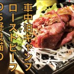 【車中泊キャンプ】ローストビーフのち野良猫の安否確認
