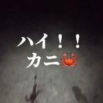 【８日目】伊勢海老釣り『長くてヌルヌルするヤツを釣る 編』