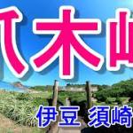【伊豆半島】爪木崎　須崎半島　伊豆ツーリング