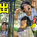 キャンプ場でリアル型脱出ゲームやってみた！！！