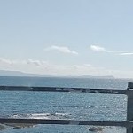 【サケ釣り】上ノ国石崎サケ釣り後　ただ今松前でライブ
