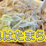 【ソロツーリング】ラーメン女子デビュー！！ガッツリ食べちゃいました！