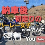 2022年 Free Run Chopper 和歌山初初走りツーリング① ＃ハーレー ＃ショベル ＃モトブログ