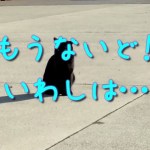 【プチアウトドア】近くの岸壁でまったりと釣りを楽しみ、野良猫と戯れる