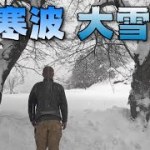 吹雪！大雪！大寒波！終いにゃテントも燃えちゃった！雪中キャンプでキャンプ飯