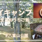 【デイキャンプ】初・焚き火台