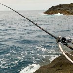 クエ釣りは大型のエサ取りとの闘い・・・いや、死闘である。