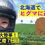 第７０話【北海道】ヒグマに遭遇！！遂に北海道の重鎮とご対面！！顔面も大惨事！網走〜北見〜天に続く道〜知床五湖　ツーリングドキュメント