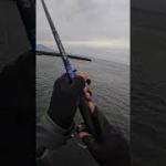 2022.9.23AM11:23 北海道の鮭釣りVLOG #アキアジ #北海道の釣り #鮭釣り
