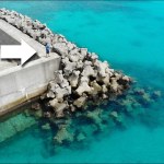 家から5分の堤防がポテンシャルの塊だった…【堤防ソロ釣りキャンプ】