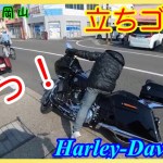 ハーレー仲間と福山(つたふじ)＆矢掛(フルーツトピア)ツーリング！