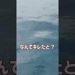 漁港のおじちゃんマジギレ！そして奇跡が起きた