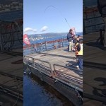熱海港でアジ釣りをしました。
