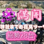 ハーレーでツーリング 目的地は桜満開の武田神社（山梨県）
