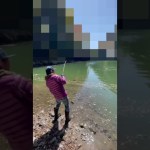 【バス釣り】モンスター級スモールマウス釣り上げた！#バス釣り #スモールマウスバス