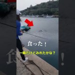 誰か私を止めて！凄い釣り方でドデカイのあがった😆👍❤️