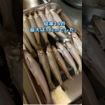 愛知県キス釣り釣果報告