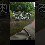 亀型のルアーで釣りしてみたら…これヤバいぞ