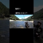 鮎釣りで連続すると嬉しい　#釣り好きな人と繋がりたい  #鮎釣り
