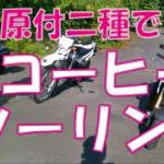 【奥武蔵グリーンライン】朝コーヒーツーリング【黒山展望台】