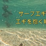 見ながらイカ釣り【サーフエギング　エギを抱く瞬間！】サイトエギング