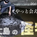 ［八丈島の怪物］投げ釣りの究極ターゲット　激闘編（後編）