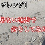 【チャレンジ】【北海道函館釣り】誰も居ない漁港で釣りしてみたら