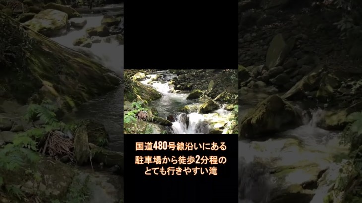 【薬師の滝】コジ旅 絶景を求めてツーリング　＃⃣short #automobile #ツーリング #バイク