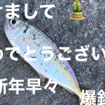 初釣りで爆釣🎣大物のためのベイトを調査‼️