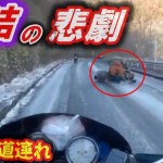 【ドラレコ】楽しいツーリングが一瞬にして暗転…後続の単車もバタバタと / 「太陽でウインカーが見えなかった」だと？ こっちは首痛ェんだよ💢 / 東名高速で同じ車種どうしが削り合い