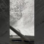 このスノーツーリングめっちゃ楽しかったわ〜！