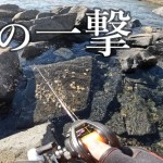 【穴釣り】浅瀬の大物をぶっこ抜く