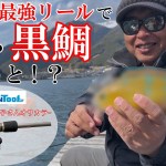 【筏釣り】最強コスパリールで黒鯛を狙ったら！？カラフルな魚釣れた！