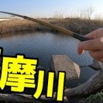今日も近所の多摩川で小物釣り
