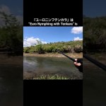 【渓流釣り新仕掛け第二弾】私の里川・本流用仕掛けはこれなのだ!! #渓流釣り #テンカラ #ユーロニンフ