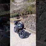 春ツーリングだよ！みんなお出かけしようよ！#バイク #バイク女子 #ツーリング