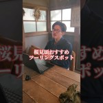 桜ツーリングおすすめスポット#バイク #ツーリング #桜 #桜ツーリング