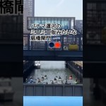 江戸川ダックカヌークラブ　春のカヌーツーリング #カヌー #カヌーツーリング #扇橋閘門