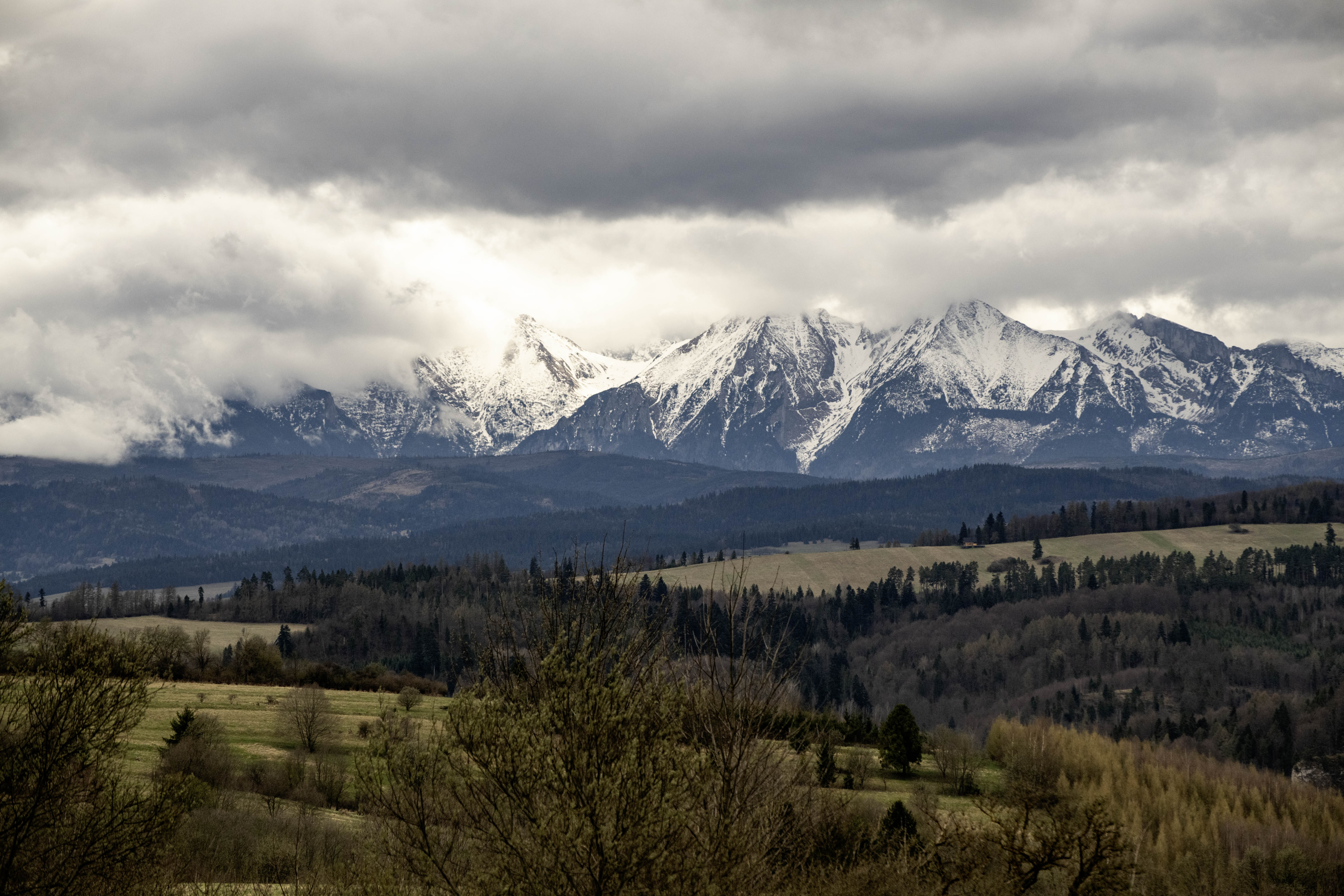 Zakopane and the Tatra Mountains Tours 2025