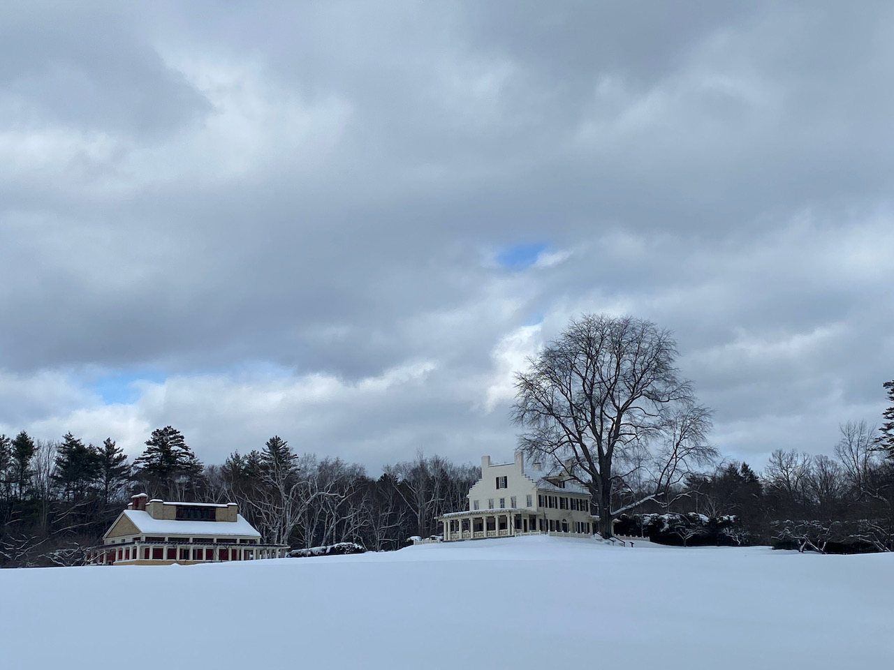 Bringing Fashion to Life