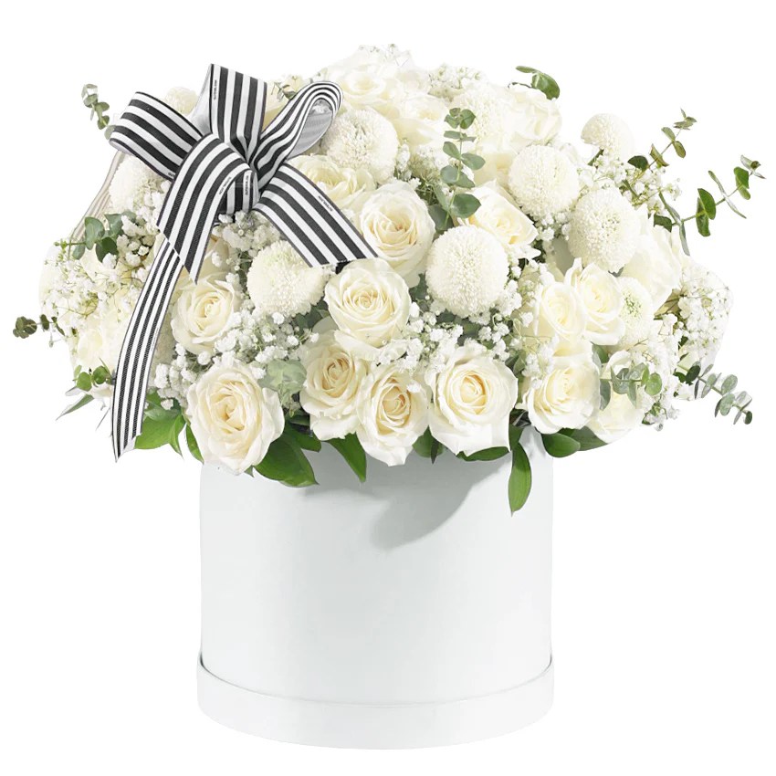 Jual Pure Beauty Bloom Box Harga Terbaik February 2026 Outerbloom