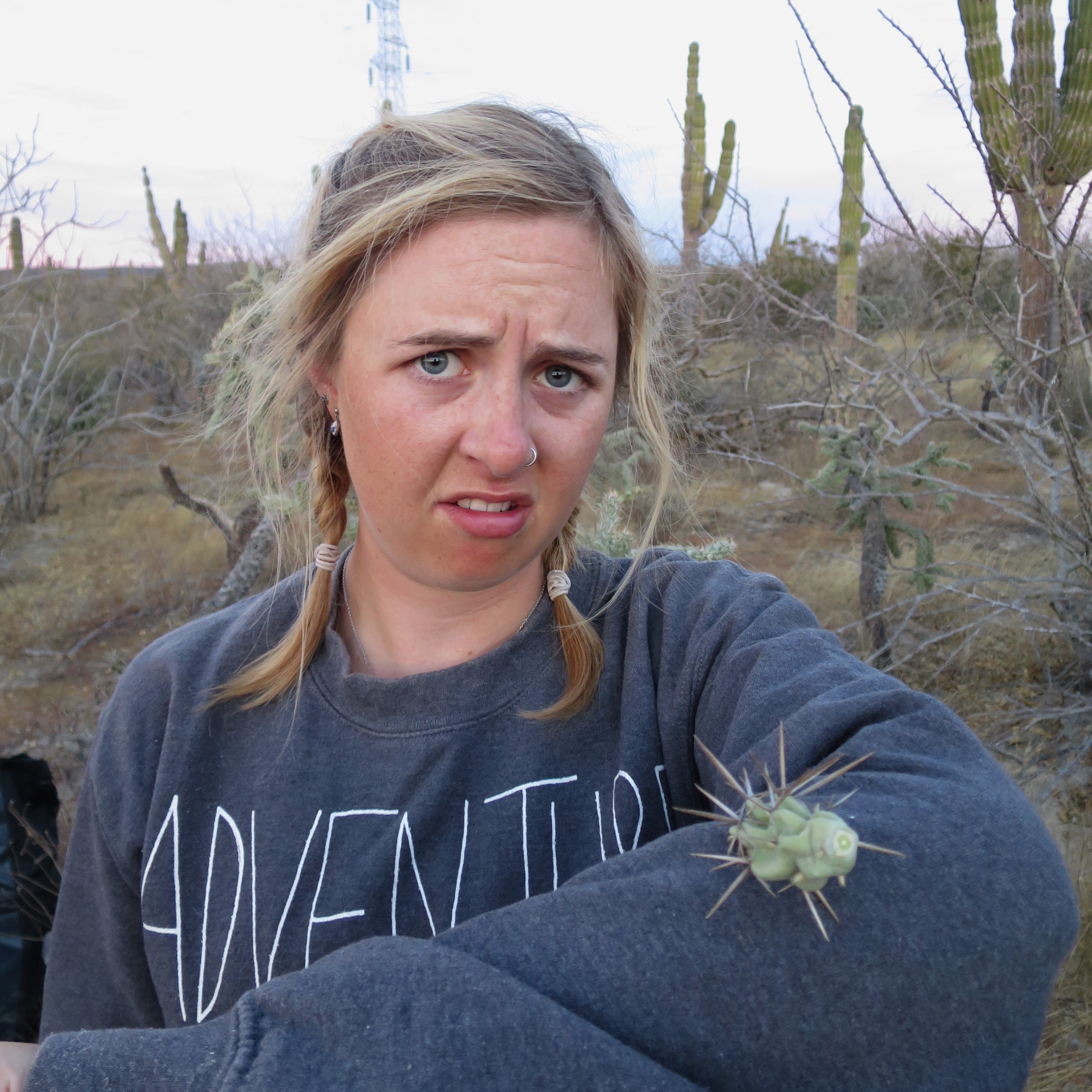 This little bugger jumped off the bush and skewered into my arm...