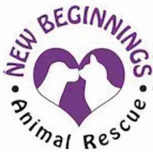 New beginnings animal rescue high level at clara stamps blog