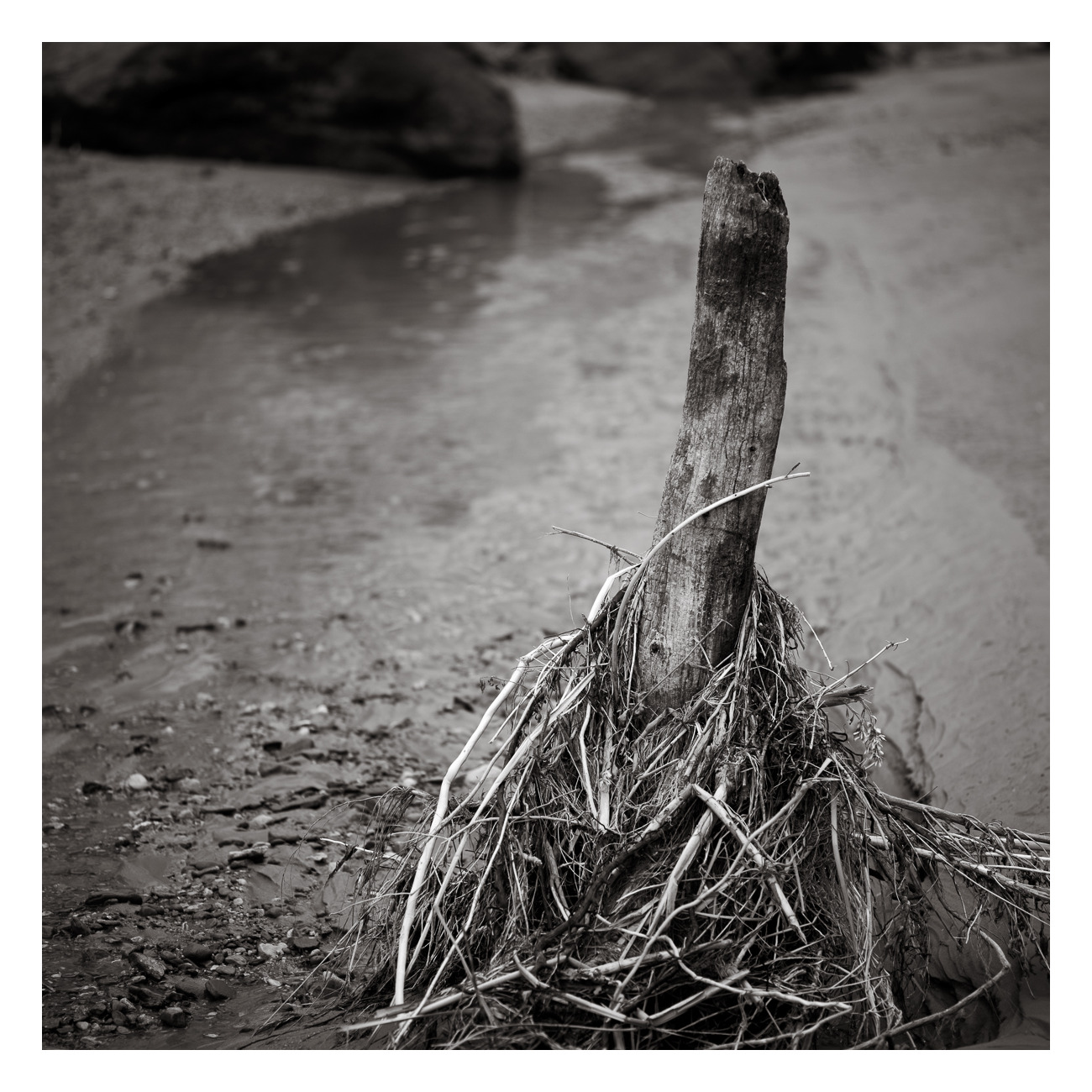Debris #1