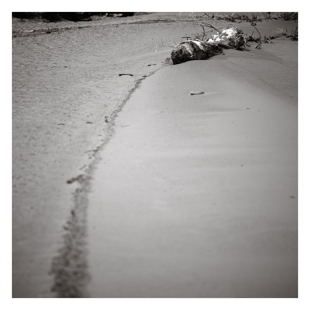 Log