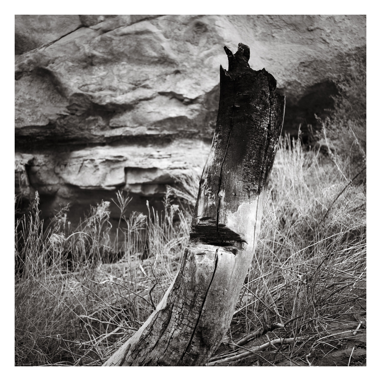 Skeletons #7